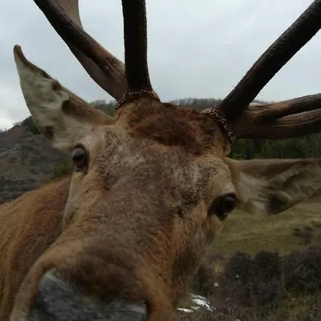 Margherita - Sasso di Castalda