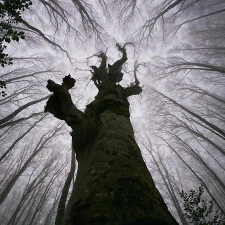 Casa vacanze Margherita - *