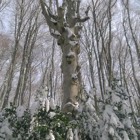 Margherita - Casa vacanze *